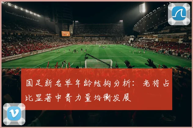 国足新名单年龄结构分析：老将占比显著中青力量均衡发展