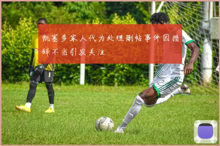 凯塞多家人代为处理删帖事件因措辞不当引发关注