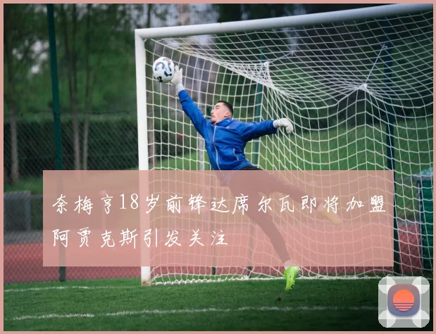 奈梅亨18岁前锋达席尔瓦即将加盟阿贾克斯引发关注