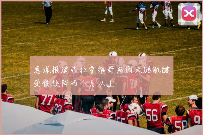 意媒报道弗拉霍维奇或因大腿肌腱受伤缺阵两个月以上
